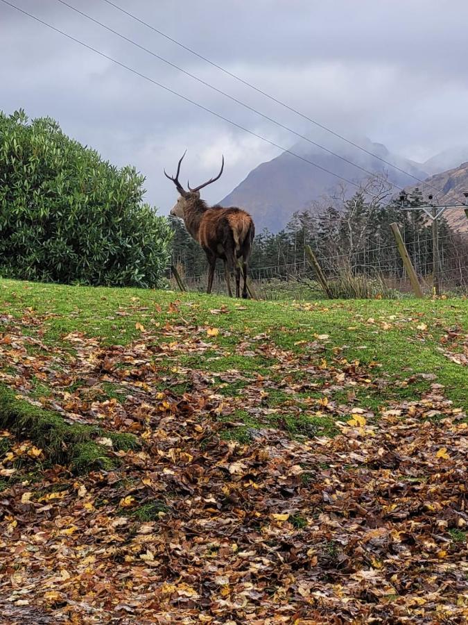 Willa Ormasaig, Self Catering, One Mile To Town & Close To Ben Nevis Fort William Zewnętrze zdjęcie