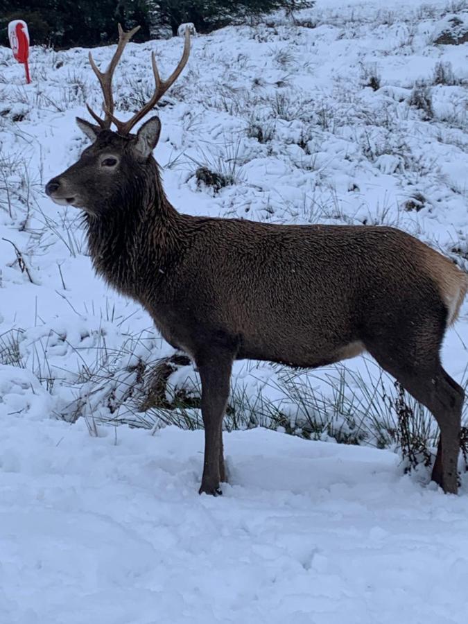 Willa Ormasaig, Self Catering, One Mile To Town & Close To Ben Nevis Fort William Zewnętrze zdjęcie