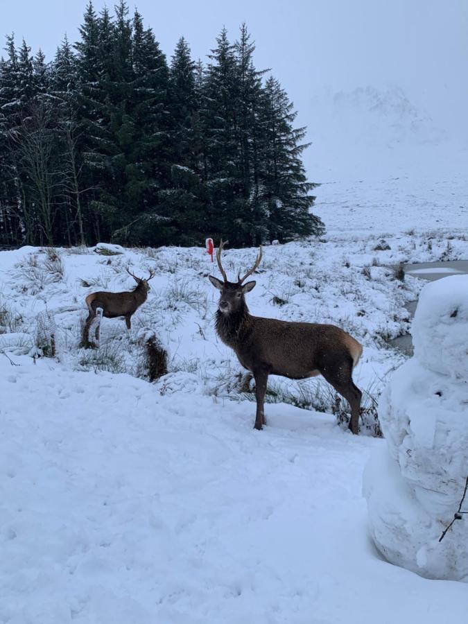 Willa Ormasaig, Self Catering, One Mile To Town & Close To Ben Nevis Fort William Zewnętrze zdjęcie